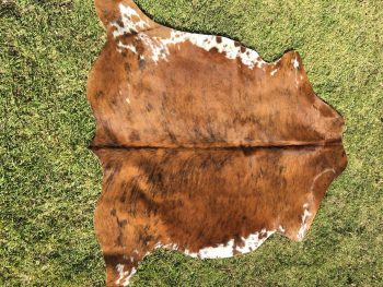 223: Texas Longhorn Cowhide Coasters 